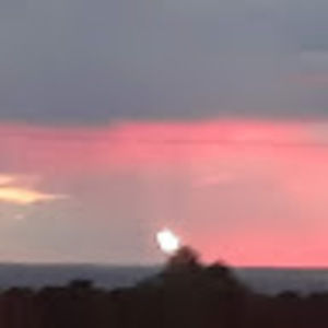 Meet your Posher, Consuelo norma